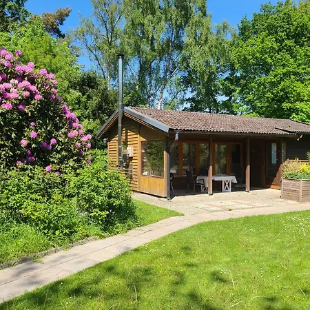 Holiday home Voigt Hude (Oldenburg)