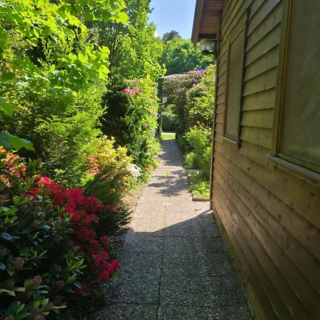 Voigt * Hude (Oldenburg)